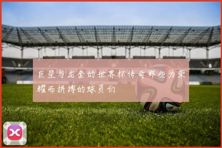 巨星与龙套的世界杯传奇那些为荣耀而拼搏的球员们