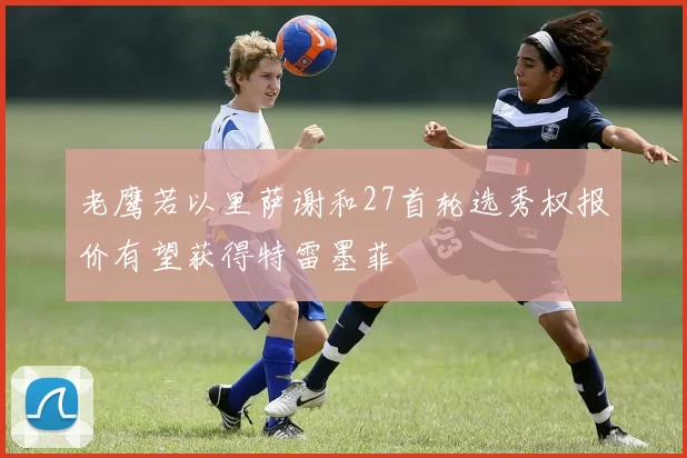 老鹰若以里萨谢和27首轮选秀权报价有望获得特雷墨菲